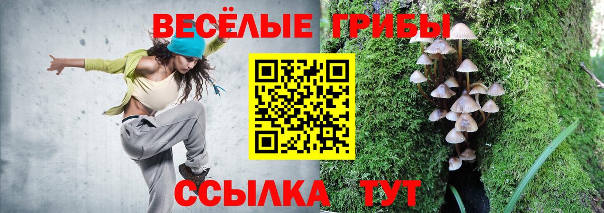 Псилоцибиновые грибы GOLDEN TEACHER  Вход с VPN  Шали  Псилоцибиновые грибы ЛСД 